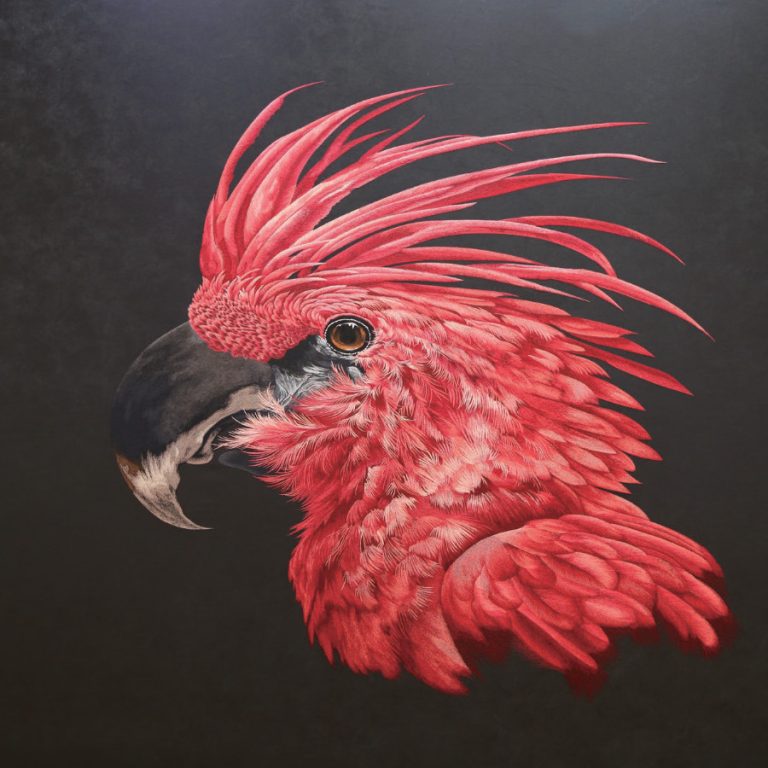 ماكينة ونيو تطريز عن طريق الكمبيوتر رأس واحد مساحة *600*400 ، 12 ابر